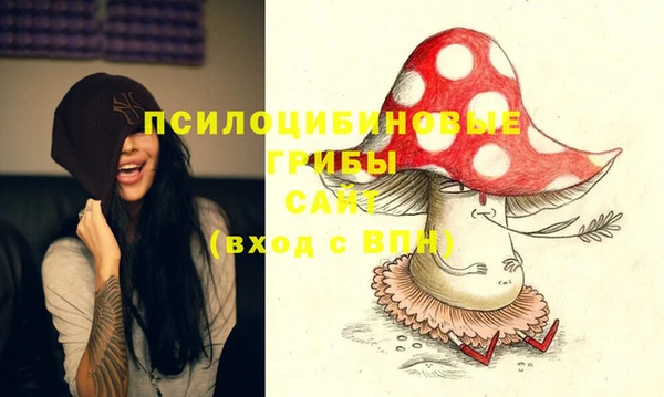 каннабис Белокуриха