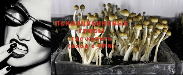 МДПВ Беломорск